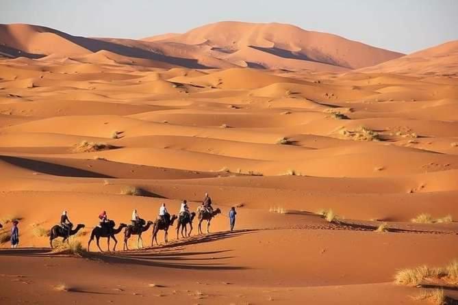 Merzouga Camel Trekking Camp Exterior foto